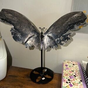 Sphalerite wings